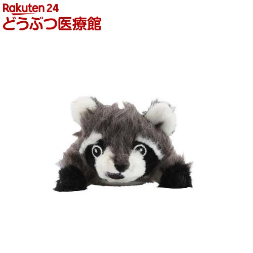 ユーゴー フォレストラクーン