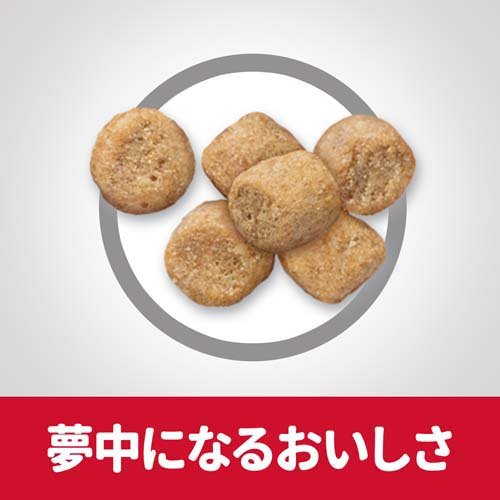 サンプル画像3