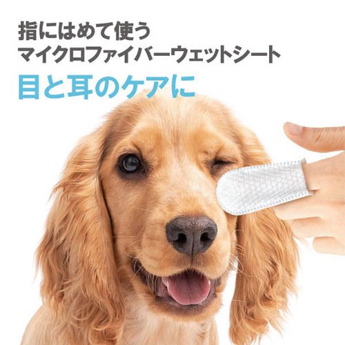 �ե��󥬡��ƥ��åץ磻������(50�������4���å�)�ڥڥåȥ����