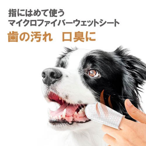 フィンガーティップワイプ 歯用 ピーナッツバター味(50枚入り×4セット)【ペットキン】