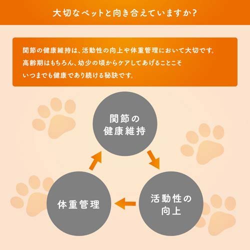 コセクイン パウダーイン45(45カプセル) wwpc-10066651 楽天24 どうぶつ医療館 サンプル画像2