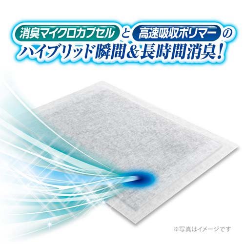 デオシート Premium 12時間超消臭＆超吸収 ワイド(42枚入*4袋セット)【dog_sheets...