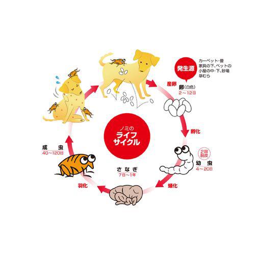 ���ѥΥߡ��ޥ��ˤȤ�&��褱����ǭ��(1����)