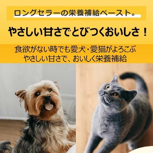 スタミノール 子いぬ・子ねこ用(100g)【スタミノール】 wwpc-10070056 楽天24 どうぶつ医療館 サンプル画像2