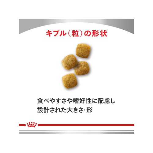 ロイヤルカナン 犬用 腎臓サポート ドライ(8kg)【ロイヤルカナン療法食】 wwpc-10000369 楽天24 どうぶつ医療館 サンプル画像2