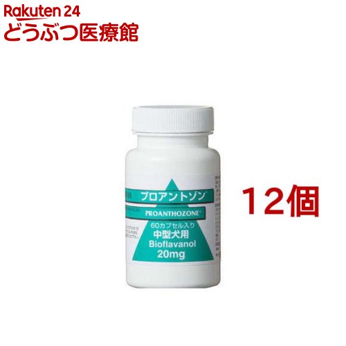 プロアントゾン 20mg 中型犬用(60カプセル*12個セット)【共立製薬】