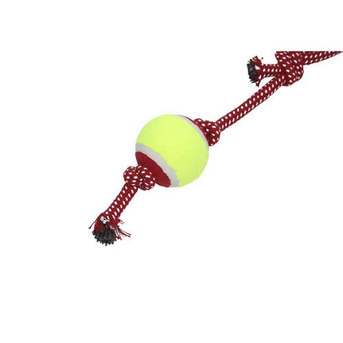 �롼�ץΥåƥ��� ����󥰥ܡ���(1��)