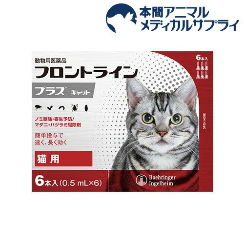 【動物用医薬品】フロントラインプラス 猫用 6本入 【フロントラインプラス】