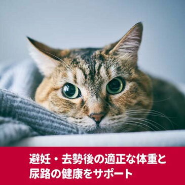 サイエンスダイエット プロ 猫用 健康ガード 避妊・去勢 避妊・去勢後〜(300g)【サイエンスダイエット】