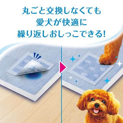 サンプル画像3