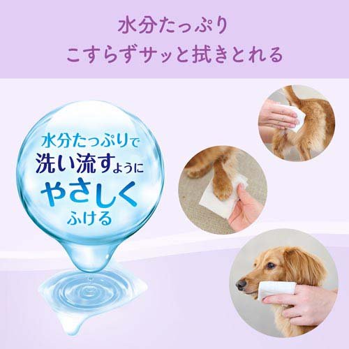 ���ߤ��⤤ ȩ�ˤ䤵���������åȥƥ����塼 ���99��(3�ġ�2���å�(1��70����))�ڥ��ߤ��⤤��