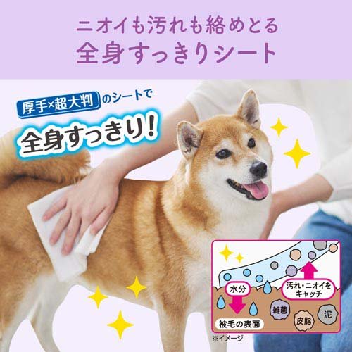 ���ߤ��⤤ ���Ȥ��ä��ꥷ���� ��������(28������2���å�)�ڥ��ߤ��⤤��