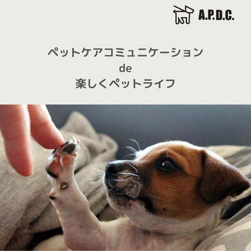 A.P.D.C. ケンネルウォッシュ専用 希釈ボトル(10セット)【A.P.D.C.】