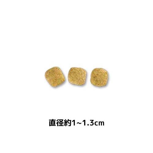 ロイヤルカナン 食事療法食 犬用 低分子プロテインライト(8kg*2袋セット)【rcset2205】【ロイヤルカナン療法食】 2