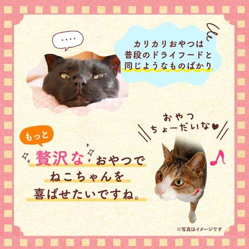 サンプル画像2