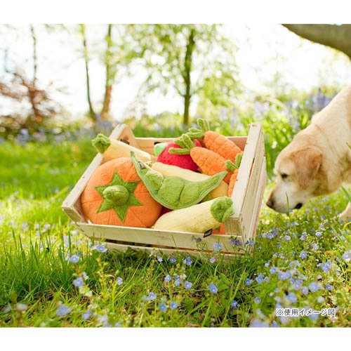 �ץ쥤 �����ǥ�ե�å���BOX���å�(1���å�)