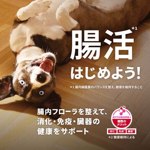サイエンスダイエット シニアアドバンスド 小粒 13歳以上 チキン 6.5kg 高齢犬(6.5kg)【ヒルズ サイエンスダイエット】[ドライ 小型犬 中型犬 大型犬] wwpc-10066746 楽天24 どうぶつ医療館 サンプル画像3