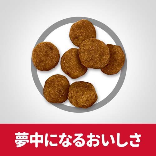 ドッグフード アダルト 成犬 小粒 1歳以上 チキン お試し ドライ(1.4kg*3袋セット)【ヒルズ サイエンスダイエット】[小型犬 中型犬 大型犬]