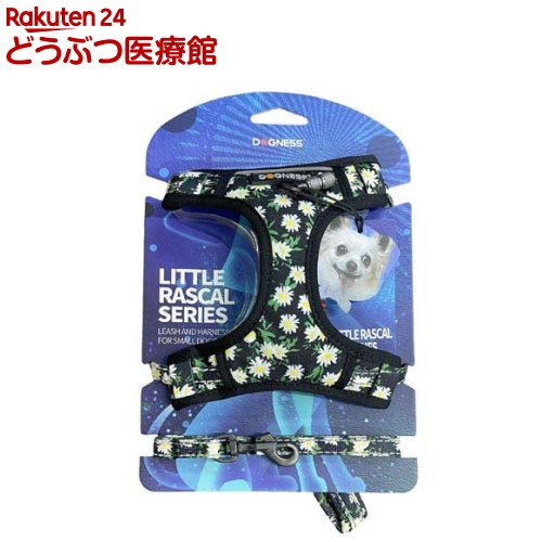 ドッグネス リード＆ハーネスセット リトルラスカル デイジーブラック(1セット)【ドッグネス】