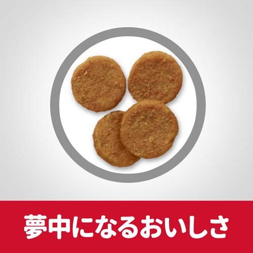 �ɥå��ա��� ������� ���� ��γ 1�аʾ� ������ ������ ����(6.5kg)�ڥҥ륺 �������󥹥������åȡ�[�ɥ饤 ������ �淿�� �緿��]