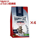 ハッピーキャット カリナリー バイエルンビーフ 大粒(1.3kg×4セット)