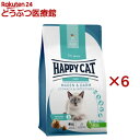 ハッピーキャット ケア ストマック&インテスティン 胃腸ケア(300g×6セット)