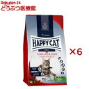 ハッピーキャット カリナリー バイエルンビーフ 大粒(300g×6セット)
