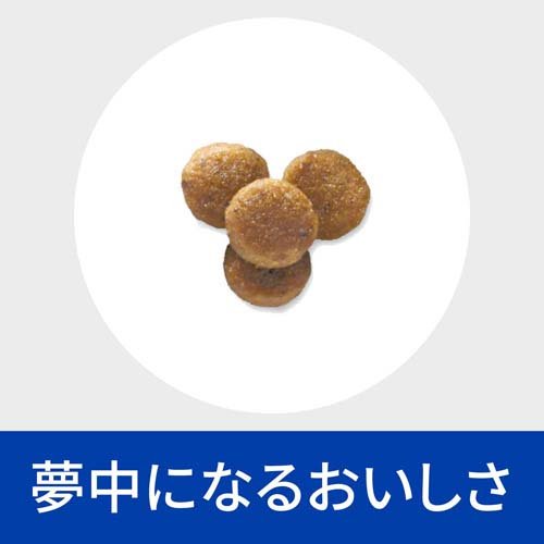 楽天24 どうぶつ医療館のk/d 早期アシスト チキン入り 腎臓ケア 猫用 特別療法食 キャットフード ドライ(2kg*2袋セット)【ヒルズ プリスクリプション・ダイエット】｜アングル3