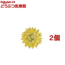 ループライト フラッシュボール(2セット)【ループライト】