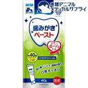 エブリデント 歯みがきペースト ミルクミント風味(40g)【エブリデント】