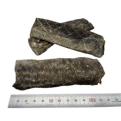 デンタル シージャーキー スキニー(100g*6袋セット)【FISH4DOGS】