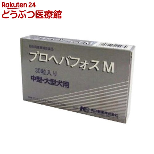 ץإѥեM(30γ)ma_2004ڶΩ