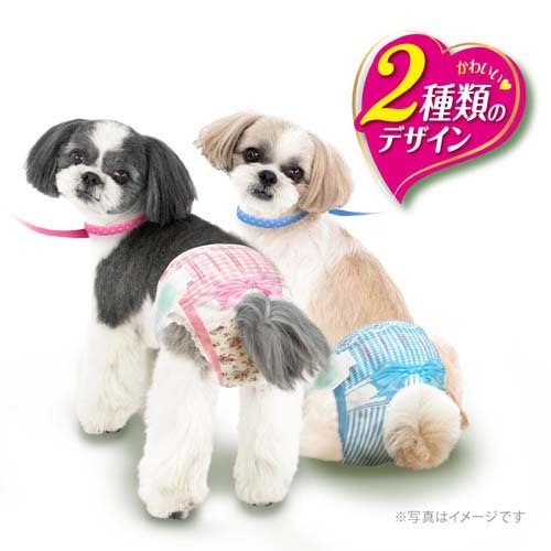 �ޥʡ������� ���λ��� M �ȥ�åɥƥ����� ���� ����� ��˥��㡼��(34����*8��)��dog_sheets�ۡ�wd225_spu�ۡڥޥʡ���������