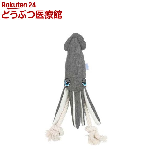 ユーゴー キャンバススクイッド