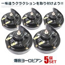 \P5倍★お買物マラソン!11日まで/ 5個セット ホーン 車 ヨーロピアン ホーン12Vタイプ 爆音 電子ホーン 快音 クラクション 12V ブラック ハーモニー カスタム 音色 車用品 ブラック アウトドア用品 HORN02-12