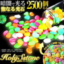 ☆P最大10倍★お買物マラソン☆ 1000個セット光る 聖なる光石 砂利 庭 蓄光石 砕石 発光石 アクアリウム インテリア 丸形 暗闇 踏み石 水槽 庭 ガー...