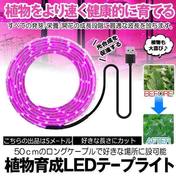 ＼5個セット★ポイント10倍／ 植物育成ライト 5m USB LEDテープライト USB給電 日商不足解消 光合成 多肉植物 水耕栽培 育成 自由研究 野菜 室内 観葉植物 家庭菜園 育成ライト 観察 SODATU