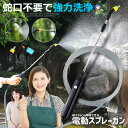 電動スプレーガン 延長ホース5m付 高圧 洗浄ホース 蛇口不要 先端ノズル 2種付属 超強力 噴射 洗浄 大掃除 洗車 水撒き 洗車 水やり ガーデニング 庭 散水 霧拭き 水撒き 植物 花 畑 送料無料 WATERGUN