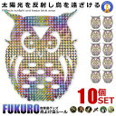 【貼るだけ簡単害鳥対策】 鳥よけ フクロウ 反射板シール 10個セット ホログラム 鳥よけ 家庭菜園 農業用品 貼り付けタイプ 資材 梟 ふくろう 反射 窓 ナ...