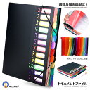 【たくさんの書類を収納】 書類 収納 ファイル A4 ドキュメントファイル 書類ケース 12ポケット ケース 自立型 書類整理 ゴムバンド オフィス 学校書類 ...