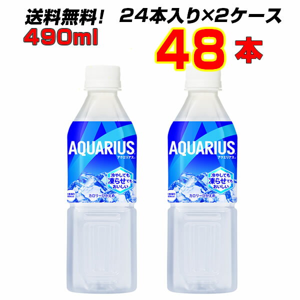 ANGAX@Ⓚ490ml PET 48{ y24{~2P[Xz ⓀANGAX Ăɂ RJR[ ܂Ƃߔ  [J[