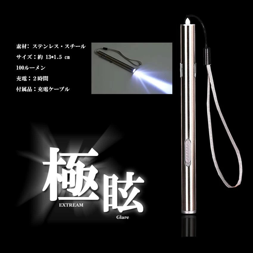 ★10％OFF★楽天スーパーセール★ 5個セット 懐中電灯 LED 小型 LEDライト ペン 充電式 USB 持ち歩き 100LM ハンディライト アウトドア キャンプ USB充電 釣り 作業 防犯 防災 ツール 緊急 EGLARE