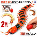 2個セット 百足 ラジコン 超リアル 虫 教育 理科 科学 コントローラー付き 2CH 赤外線 電動 走る!! 昆虫シリーズ イベント サプライズ パーティグッ...