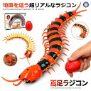 \ポイント10倍★5/1限定/ 百足 ラジコン 超リアル 虫 教育 理科 科学 コントローラー付き 2CH 赤外線 電動 走る!! 昆虫シリーズ イベント サプ...