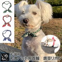 ☆P最大10倍★お買物マラソン☆ 犬 猫 ペット 首輪 カラー 和風柄 唐草模様 緑 赤 青 和風 いぬねこ 【対象地域は送料無料】