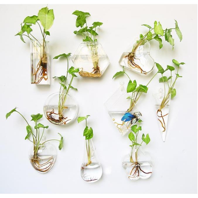 花瓶 フラワーベース 壁掛け 一輪挿し ガラス おしゃれ 花器 フラワーポット 花びん 水耕栽培 コンパクト ミニサイズ 小さい