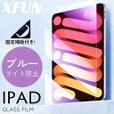 固定補助付き/ iPad mini 7 保護フィルム iPad mini7 ガラスフィルム 8.3インチ iPad mini 6 画面保護 プライバシー保護 フ...