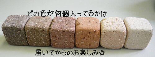 コロン♪と可愛いサイコロレンガ 10個SET　50mm角☆1個あたり☆230g☆1セット☆2.3kgミニレンガ　キューブブ..