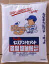 インスタントセメント 10kg グレー【一部地域送料無料】