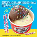 ArTeC アーテック【055467】食品サンプルを作ろう!ダブルカップアイスカラースプレー付き